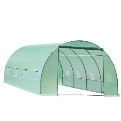 Outsunny Invernadero tipo Caseta 600x300x200 cm para Jardín y Terraza Cultivo de Plantas y Semillas