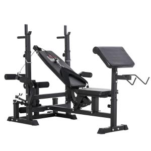 HOMCOM Banco de Pesas Ajustable Banco de Musculación Multifuncional con Respaldo Reclinable para Entrenamiento de Cuerpo Entero en Casa 210x110x103-123 cm Negro
