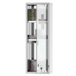 kleankin Botiquín de Medicina y Primeros Auxilios para Baño con Bloqueo y 3 Estantes con Puerta de Vidrio Templado de Acero Inoxidable 20x12x58 cm Plata(c-3)