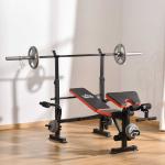 HOMCOM Banco de Pesas Ajustable Banco de Musculación Multifuncional con Respaldo Reclinable para Entrenamiento de Cuerpo Entero en Casa 210x110x103-123 cm Negro(c-2)